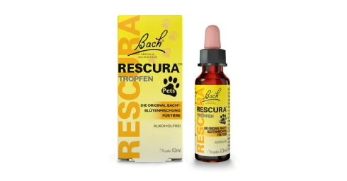 Bachblüten für Tiere